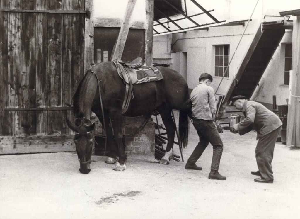 Hauptstraße 3 – Schmied Heck – Pferd beschlagen um 1965