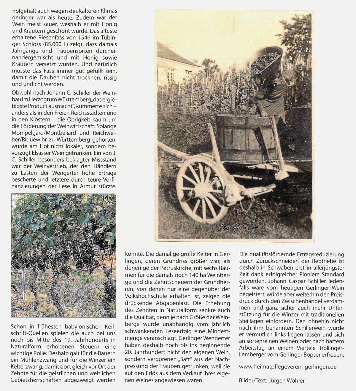 Gerlinger Anzeiger vom 23.08.2024